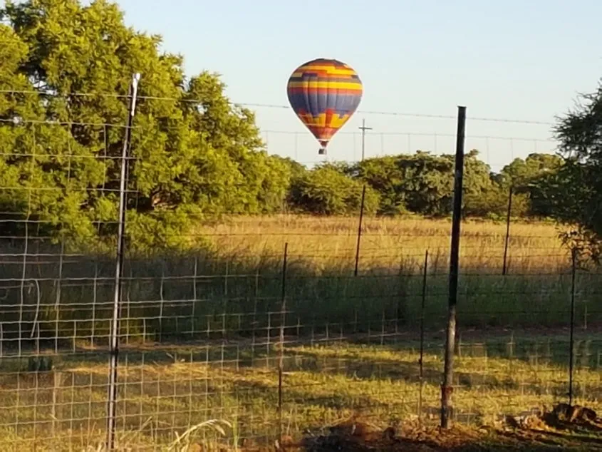 game lodge hot air balloon
